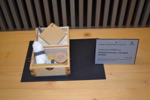 Friderikova skrinjica - Veronikina skrinjica